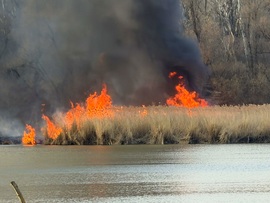 Vasárnap késő délutáni nádastűz Tiszafüreden a Tisza-tó partján