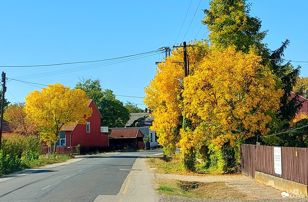 Tiszaörvény