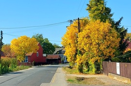 Tiszaörvény