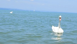 Siófok