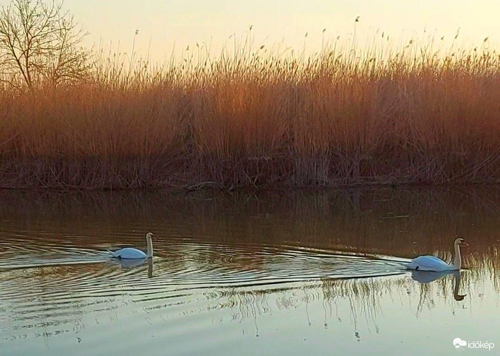 Tisza-tavi reggel