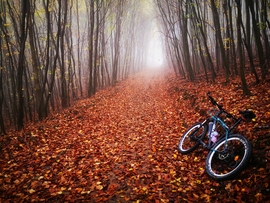 Vérvörös avar Salgó-vár felé