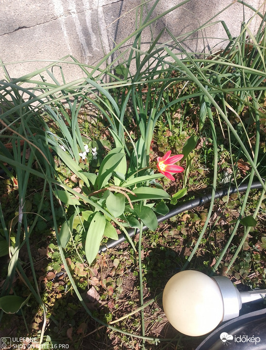 Budapest X.ker - Téglagyárdűlő