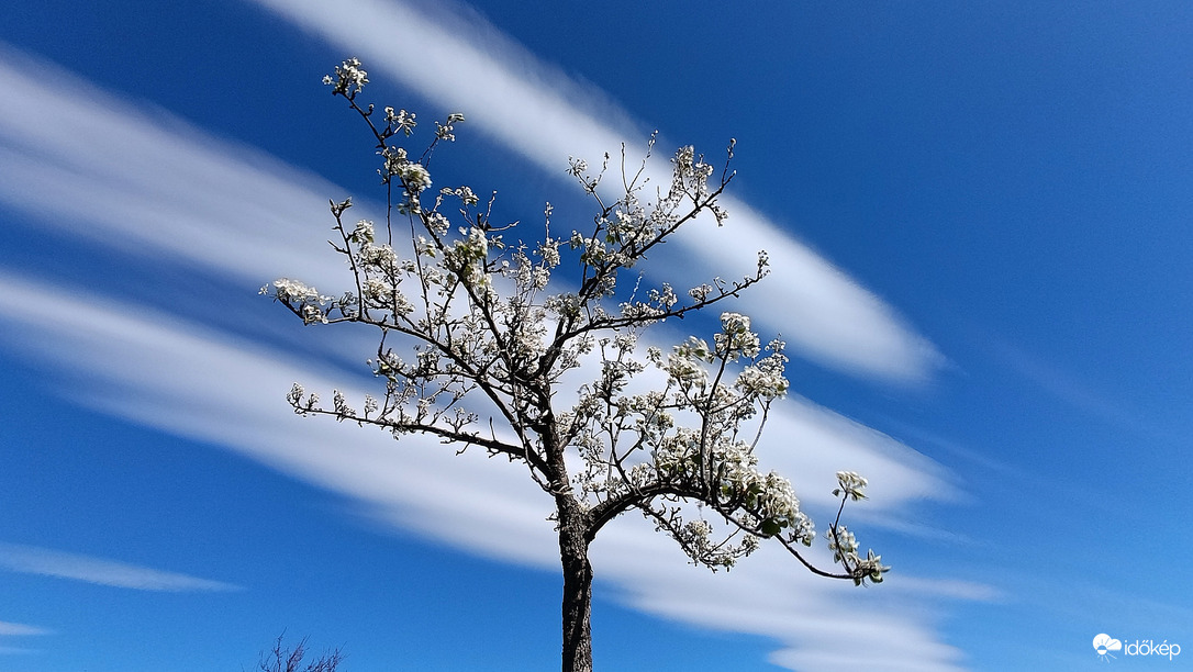 Szeles délután - 5