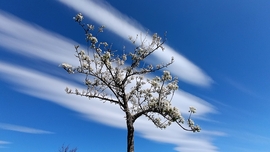 Szeles délután - 5