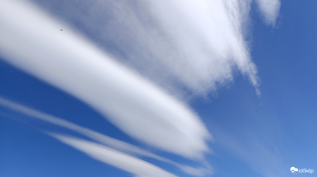 Szeles délután - 1
