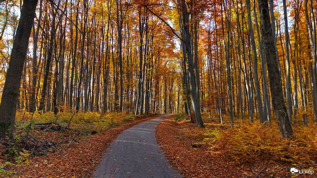 A Bükk őszi csodái - 20