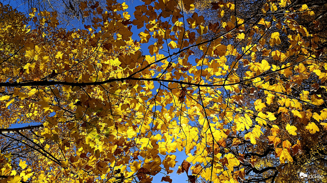 A Bükk őszi csodái - 2