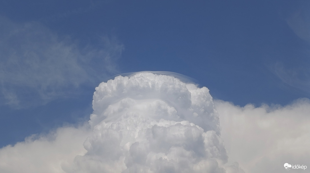 Pileus