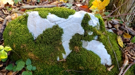 A Bükk őszi csodái - 16