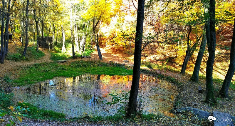 Az őszi erdő 3. 