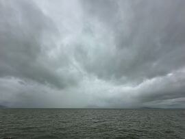 Balatonfenyves