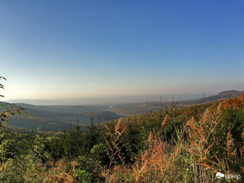 Bagolyirtás Mátra. (1)