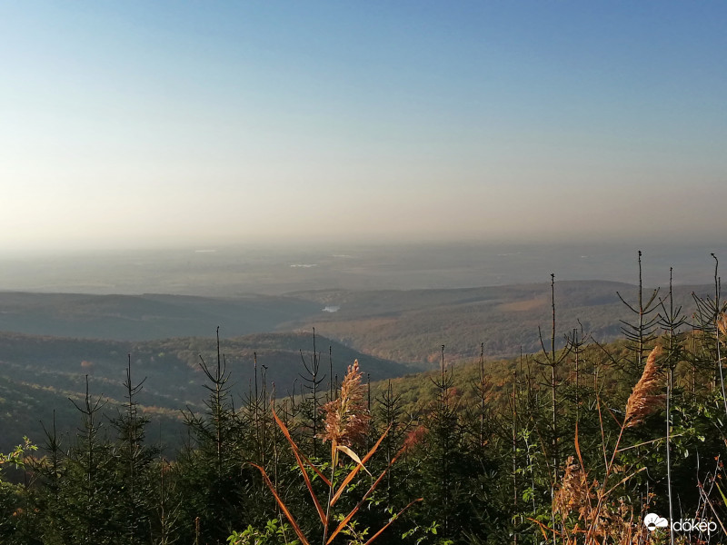 Bagolyirtás Mátra. (2)