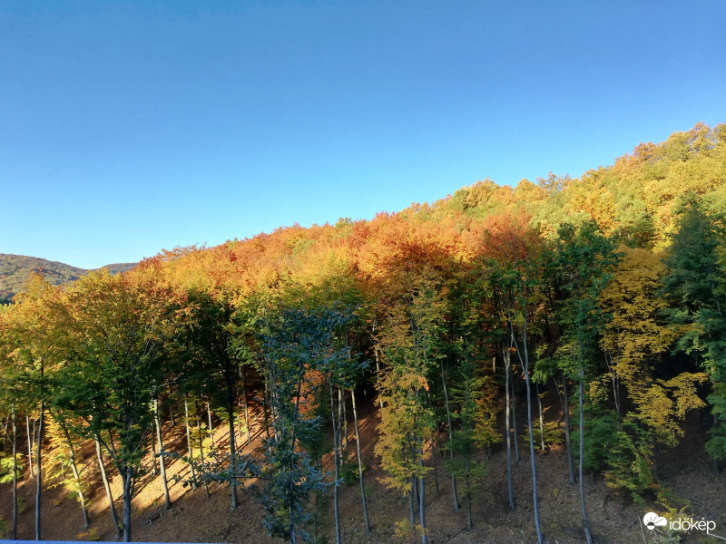 Az ősz színei a Mátrában. (3)