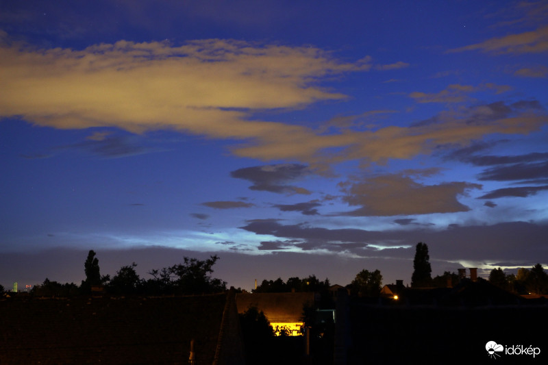 NLC (1)