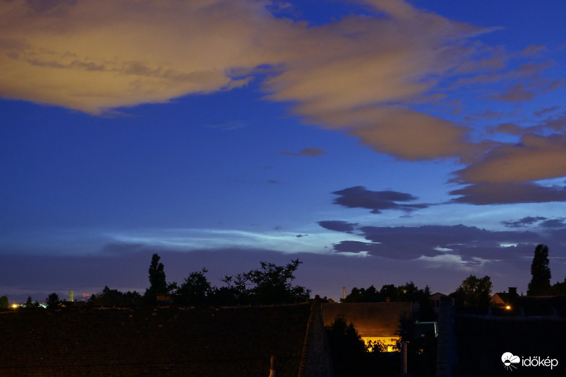 NLC (2)