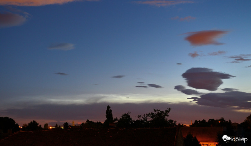 NLC (3)