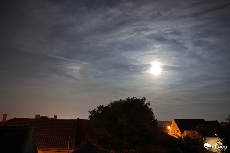 Baloldali mellékhold.