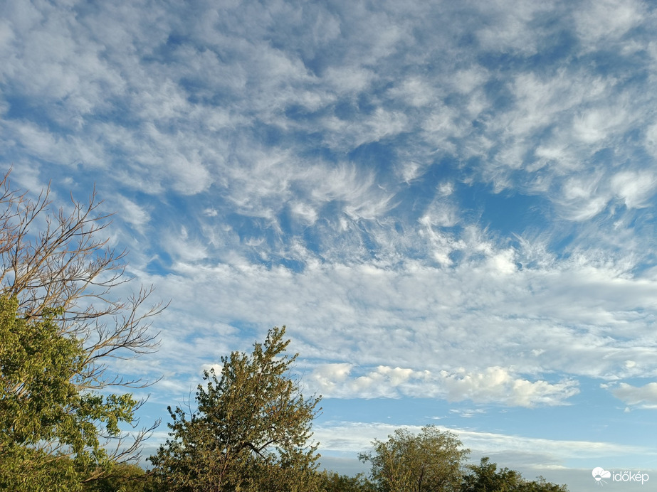 Nagytarcsa