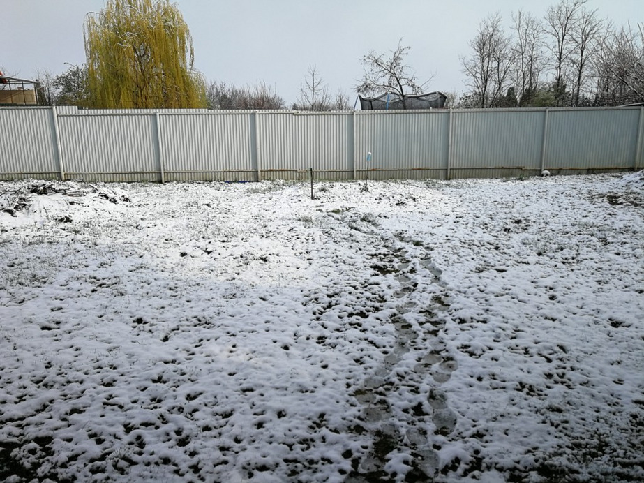 Rákóczifalva