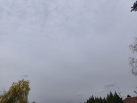 Rákóczifalva