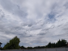 Rákóczifalva