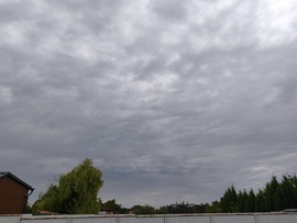 Rákóczifalva