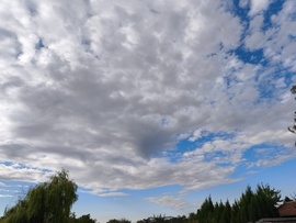 Rákóczifalva