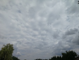 Rákóczifalva
