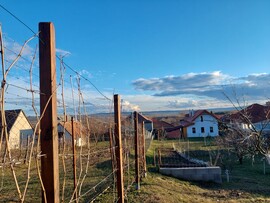 Magyarpolány