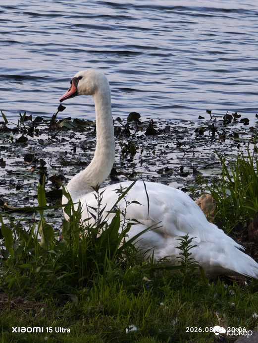 Tiszanagyfalu