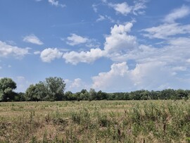 Tiszalök