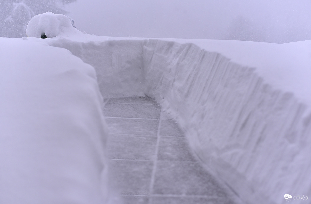 Hihetetlen és Gyönyörű 2026.02.20. De. 9:00 óra 