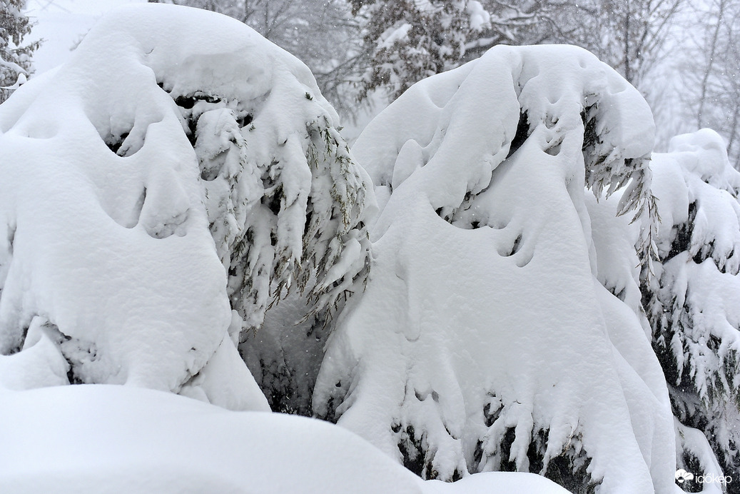 Hihetetlen és Gyönyörű 2026.02.20. De. 9:00 óra 