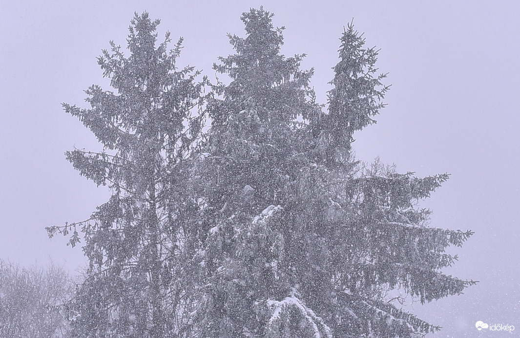 Hihetetlen és Gyönyörű 2026.02.20. De. 9:00 óra 
