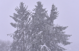 Hihetetlen és Gyönyörű 2026.02.20. De. 9:00 óra 