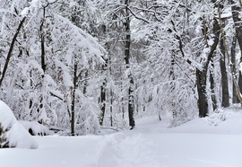 50cm a Kőszegi-hegyen 2026.02.20.  Du. 15:00 után. Gyönyörű...