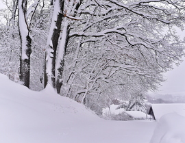 50cm a Kőszegi-hegyen 2026.02.20.  Du. 15:00 után. Gyönyörű...