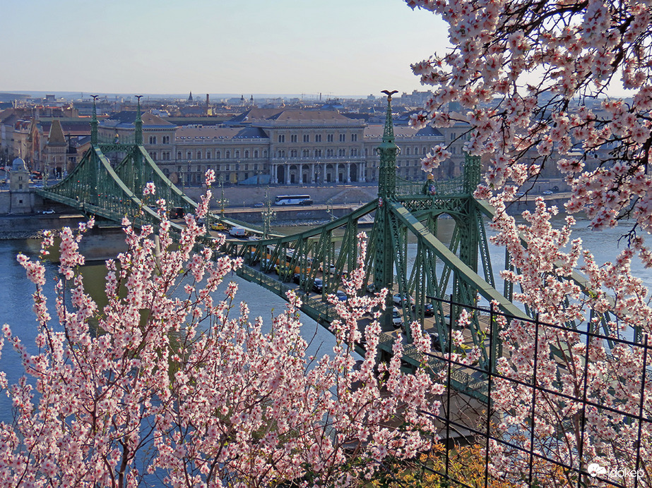 Reggel a Gellért-hegyen