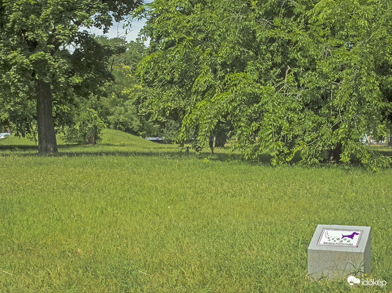 Újpesti szabad kutyapark