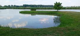 Félsziget