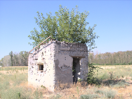 Faház - újragondolva
