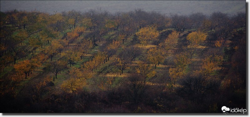 Patchwork