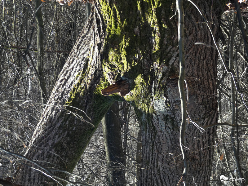 Rossz az, aki rosszra gondol...