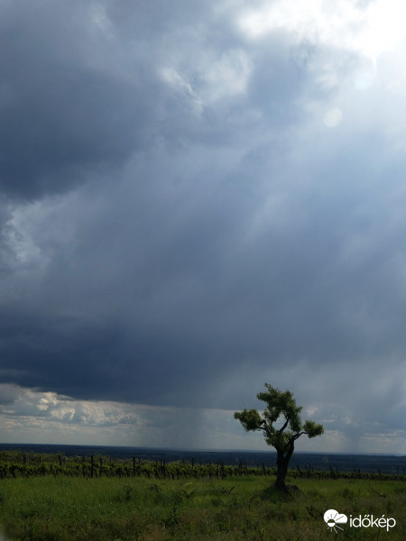 Dacolás a természettel...