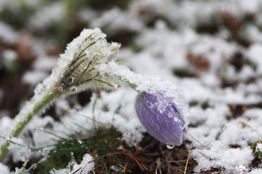 A tavasz tizenhét pillanata...