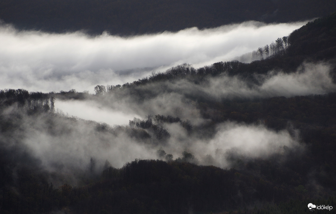 Őszi fekete-fehér...