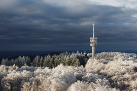 Nem volt biztató...