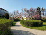 Szombathely
